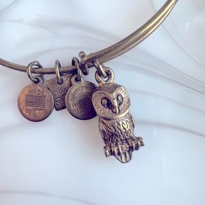 Alex and Ani Owl bangle bracelet